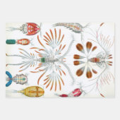  oceaandieren, Copepoda door Ernst Haeckel Inpakpapier Vel (Voorkant)
