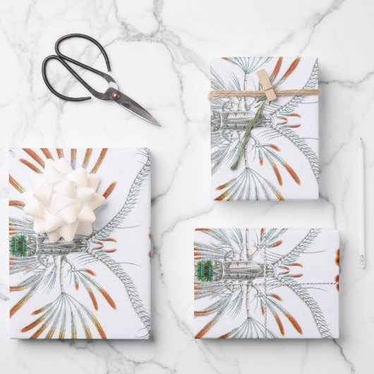 oceaandieren, Copepoda door Ernst Haeckel Inpakpapier Vel (Voorkant)