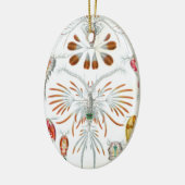  oceaandieren, Copepoda door Ernst Haeckel Keramisch Ornament (Links)