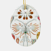 oceaandieren, Copepoda door Ernst Haeckel Keramisch Ornament (Achterkant)