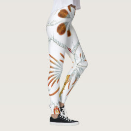  oceaandieren, Copepoda door Ernst Haeckel Leggings