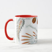  oceaandieren, Copepoda door Ernst Haeckel Mok (Links)