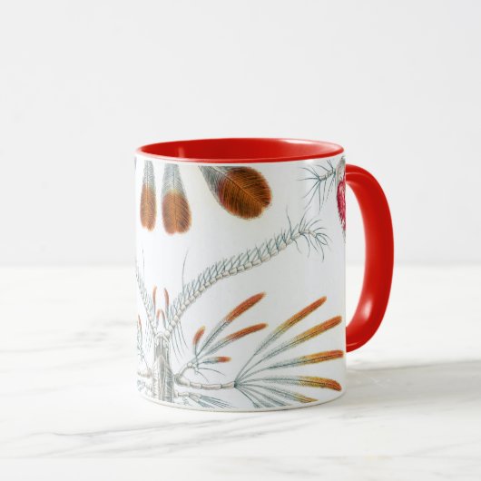  oceaandieren, Copepoda door Ernst Haeckel Mok (Voorkant rechts)