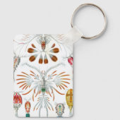  oceaandieren, Copepoda door Ernst Haeckel Sleutelhanger (Achterkant)
