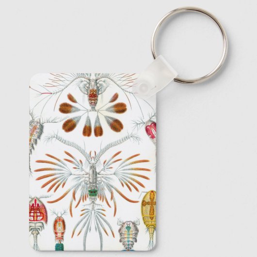  oceaandieren, Copepoda door Ernst Haeckel Sleutelhanger (Achterkant)