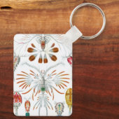  oceaandieren, Copepoda door Ernst Haeckel Sleutelhanger (Achterkant)