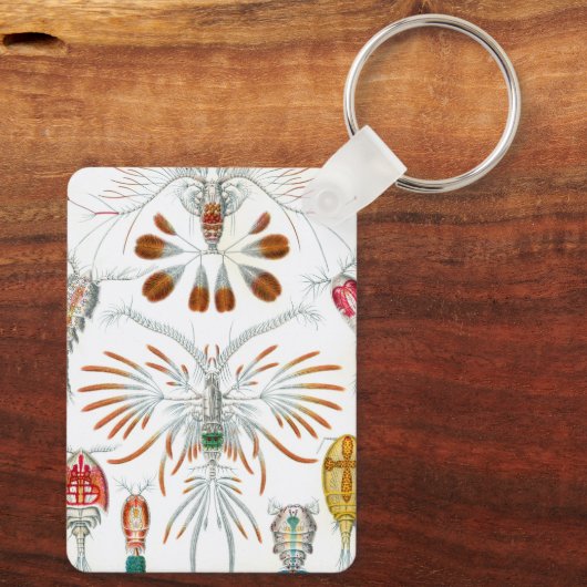  oceaandieren, Copepoda door Ernst Haeckel Sleutelhanger (Achterkant)