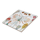  oceaandieren, Copepoda door Ernst Haeckel Tegeltje (Zijkant)