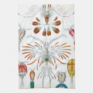 oceaandieren, Copepoda door Ernst Haeckel Theedoek