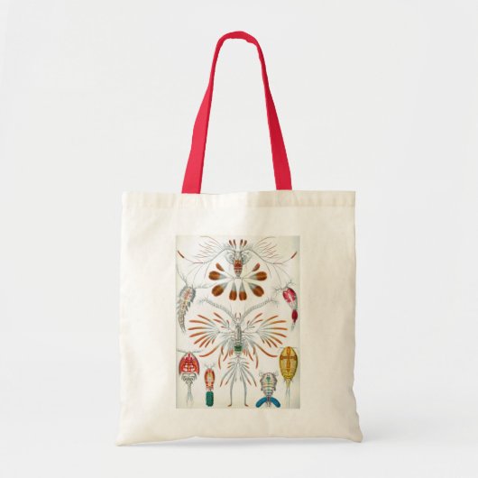  oceaandieren, Copepoda door Ernst Haeckel Tote Bag (Voorkant)