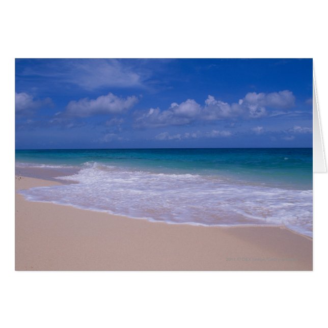 Oceaangolven schuimen op zandstrand (Voorkant Horizontaal)