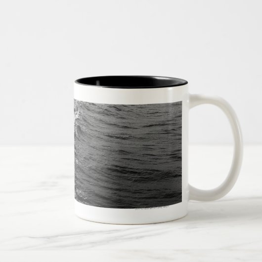 Oceaangolven Tweekleurige Koffiemok (Rechts)