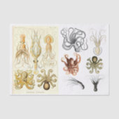  oceaaninktvis - ontkoppelingspagina - Collage Tissuepapier (Voorkant)