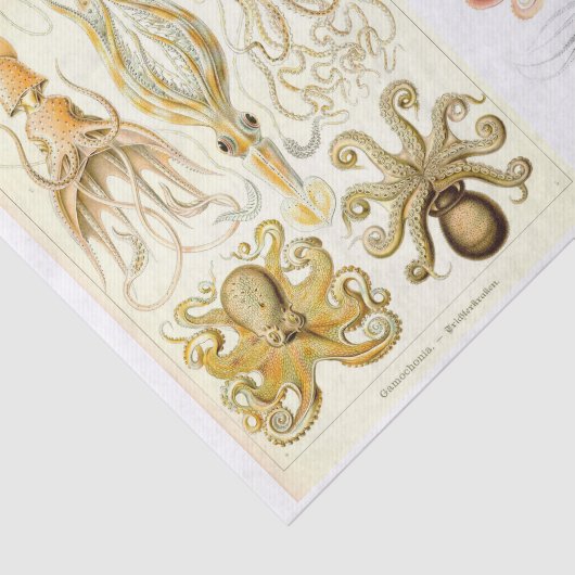  oceaaninktvis - ontkoppelingspagina - Collage Tissuepapier (Detail)