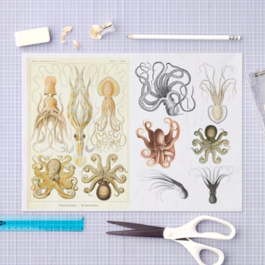  oceaaninktvis - ontkoppelingspagina - Collage Tissuepapier (Craft)