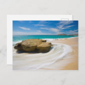 oceaankuiken aan de strand briefkaart (Voorkant / Achterkant)