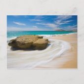 oceaankuiken aan de strand briefkaart (Voorkant)