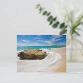 oceaankuiken aan de strand briefkaart (Staand voorkant)