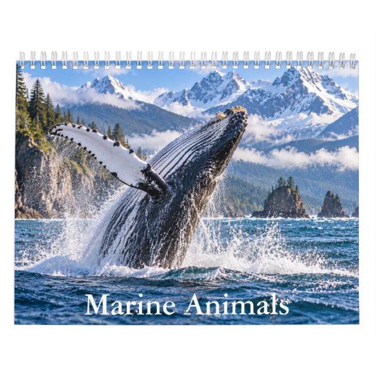 Oceaannatuur Scenische Kalender (Hoes)