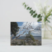 Oceaanzicht Briefkaart (Staand voorkant)