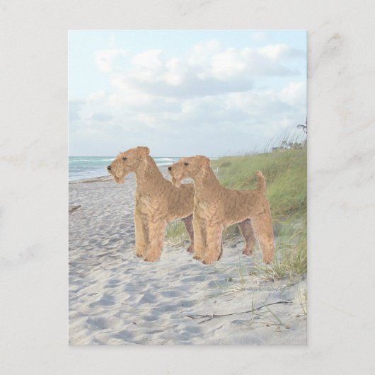 Oceaanzicht Briefkaart (Voorkant)