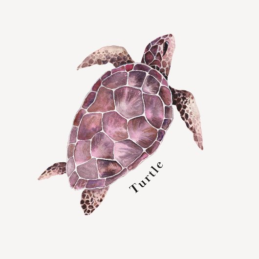 Ocean Animals Educational Poster