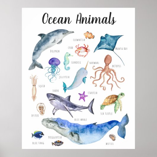Ocean Animals | Leerleslokaal onderwijs Poster (Voorkant)