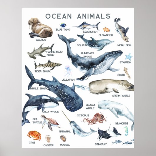 Ocean Animals | Leerleslokaal onderwijs Poster (Voorkant)