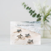 Ocean Beach Coast Sea Turtles Briefkaart (Staand voorkant)