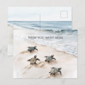 Ocean Beach Coast Sea Turtles Briefkaart (Voorkant / Achterkant)