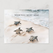 Ocean Beach Coast Sea Turtles Briefkaart (Voorkant)