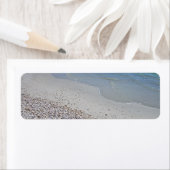 Ocean Beach en Shells Etiket (Insitu)