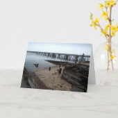 Ocean Beach Peir Kaart (Gele Bloem)