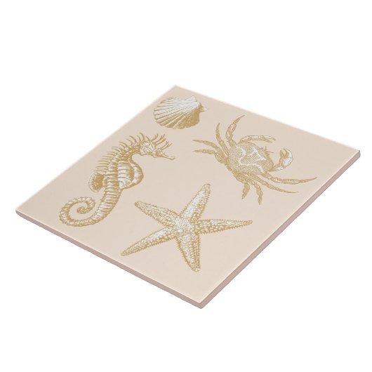 Ocean Beach Seahorse Starfish Crab & Shell Pattern Tegeltje (Zijkant)