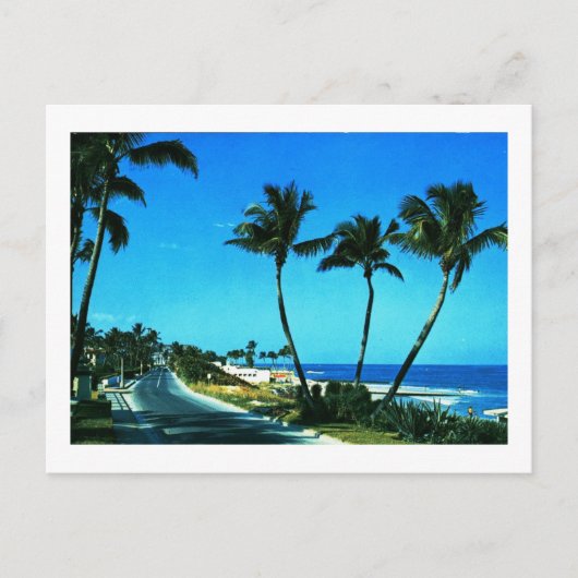 Ocean Boulevard, Palm Beach, Florida Briefkaart (Voorkant)