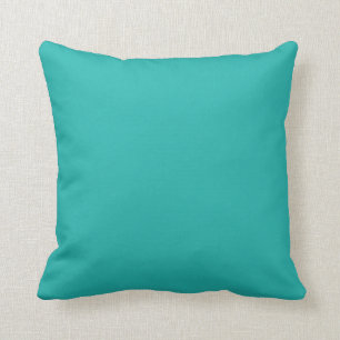 Ocean Breeze Aqua Blauwgroen Blue Solid Color Back Kussen
