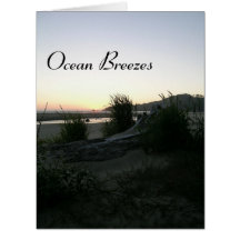 Ocean Breezes
