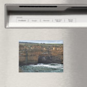 Ocean Carved Wonders Magneet (Insitu (Vaatwasser))