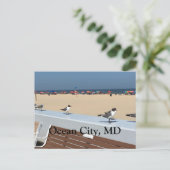 Ocean City Beach, MD met vogels Briefkaart (Staand voorkant)