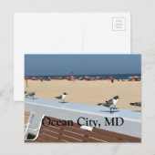 Ocean City Beach, MD met vogels Briefkaart (Voorkant / Achterkant)