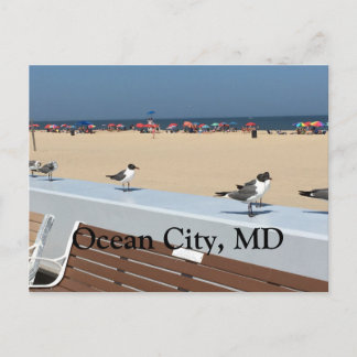 Ocean City Beach, MD met vogels Briefkaart