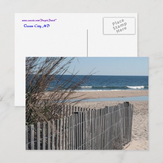 Ocean City Briefkaart (Voorkant / Achterkant)