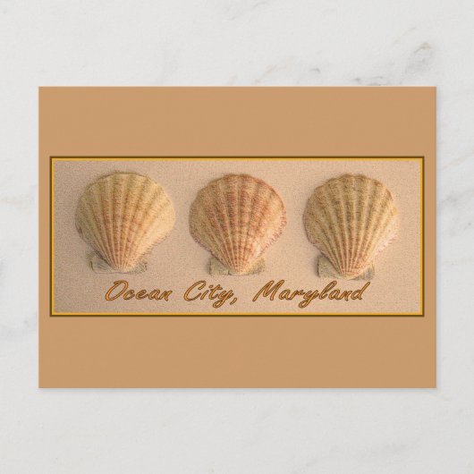 Ocean City, Briefkaart van Maryland (Voorkant)