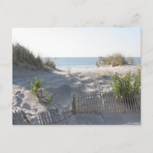 Ocean City Dunes Briefkaart
