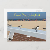 Ocean City Maryland Birds Briefkaart (Voorkant / Achterkant)