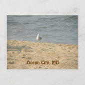 Ocean City, MD Briefkaart (Voorkant)
