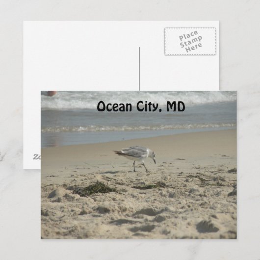 Ocean City, MD Briefkaart (Voorkant / Achterkant)