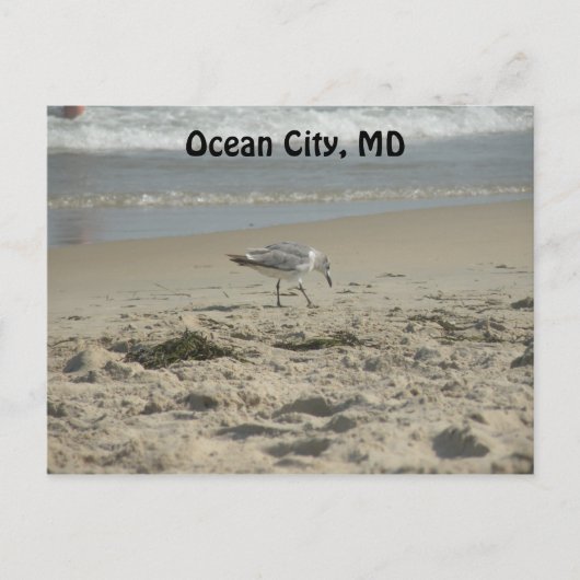 Ocean City, MD Briefkaart (Voorkant)