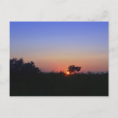 OCEAN CITY MD BRIEFKAART (Voorkant)