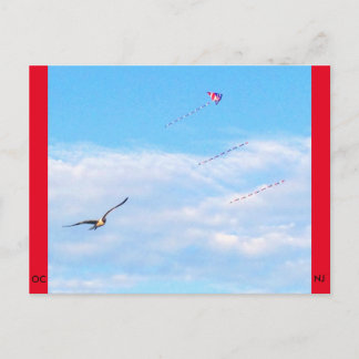 Ocean City, New Jersey Post Kaart-Fly Briefkaart